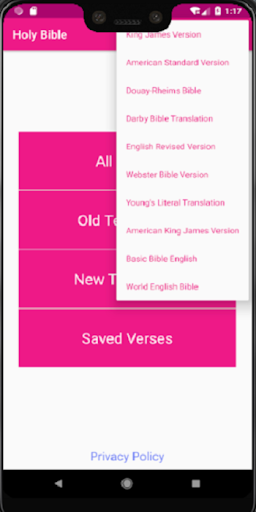 Offline Audio Bible (Ten Versi Screen 3