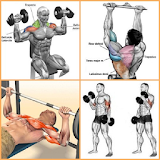 Bodybuilding Muscle Training icon