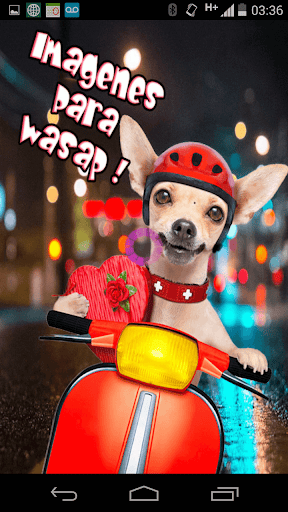 Imagenes para Wasap Screenshot 1 - AppWisp.com
