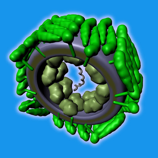 ZIKA Virus Structure in 3D Virtual Reality