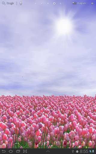 Android application Tulip Field Live Wallpaper screenshort