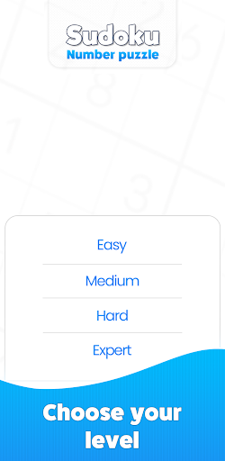 Sudoku Number Puzzle