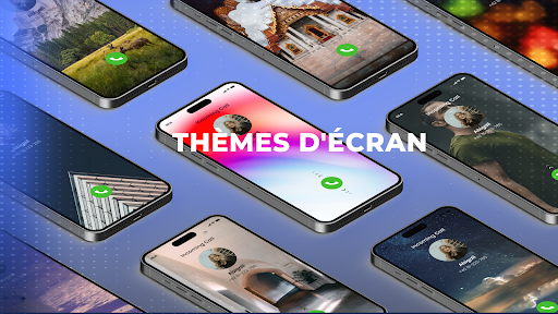 Aperçu de l'application