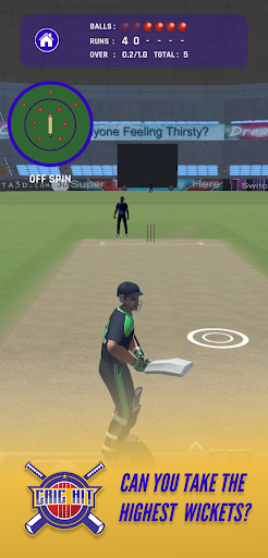 Cric Hit - Mobile cricket game Screen 3