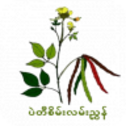 Green Bean Guide logo