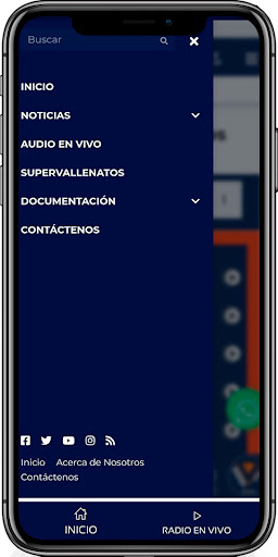 Radio Viva Fm Screen 3