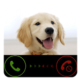 Dog Calling Prank icon