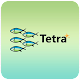 Tetra Teams