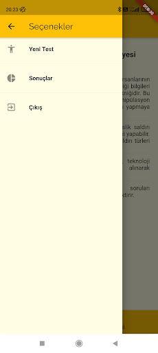 Kimlik Avı Risk Testi