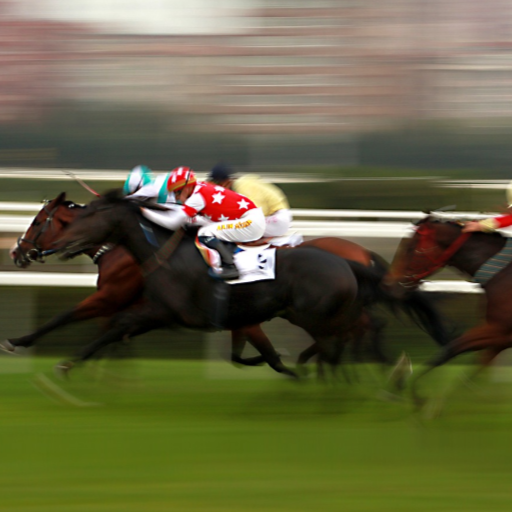 Singapore Horse Racing Live 2.0.0.1 Icon