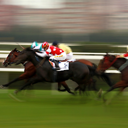 Icon image Singapore Horse Racing Live