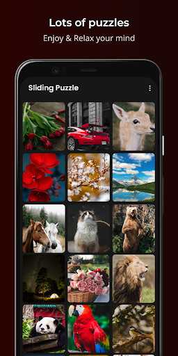 Sliding Puzzle - The 15 puzzle Screen 2