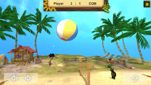 Volleyball Island