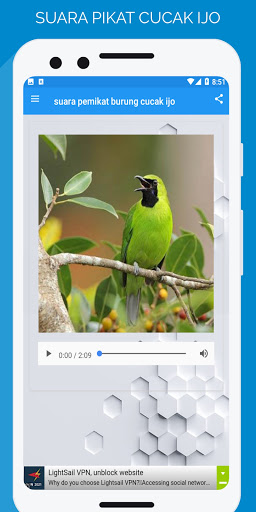 suara pemikat burung cucak ijo Screen 3