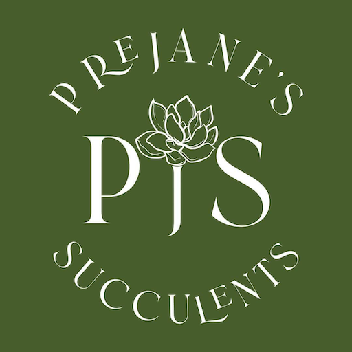 Prejane's Succulents