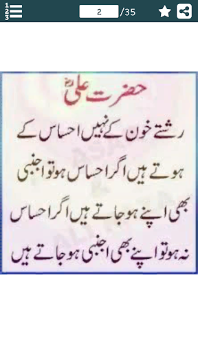 Sayings of Hazrat Ali (R.A) in Screen 2