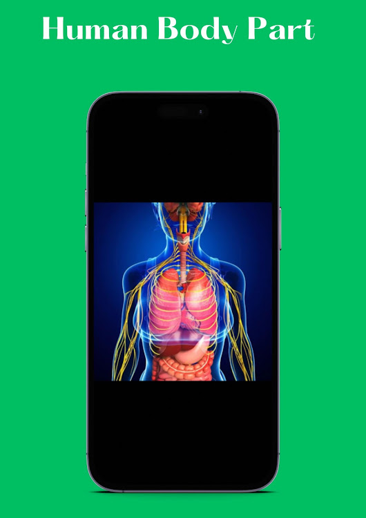 Essential Human Anatomy 2023 - 1.0 - (Android)