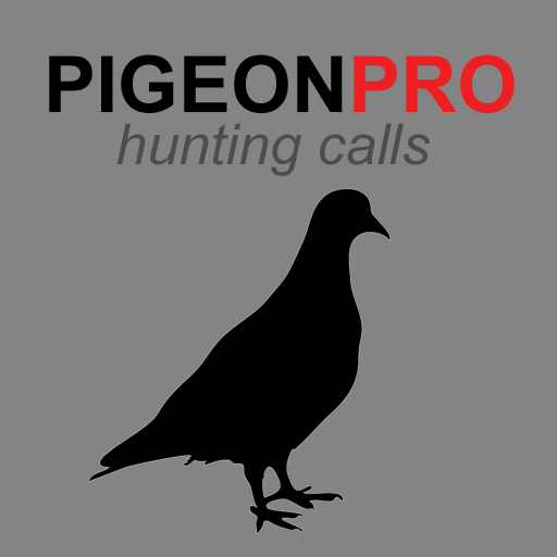 Pigeon Calls for Hunting AU
