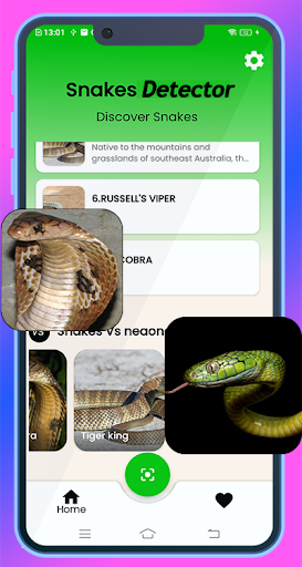Snake IDentifier Screenshot 4 - AppWisp.com