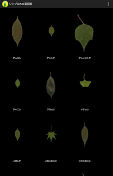 シンプル木の葉図鑑のおすすめ画像1