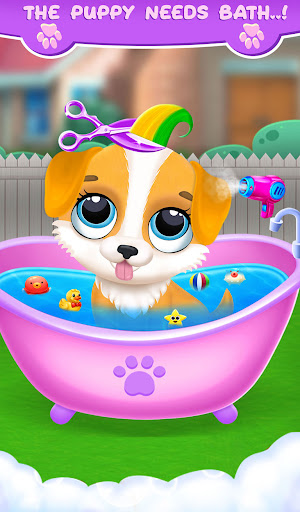 Labrador Puppy Pet DayCare Screen 2