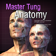 Master Tung`s Acupoint Anatomy