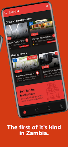 ZedFind: Zambia Business Guide Screen 2