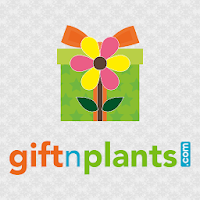 GIFTnPLANTS - Buy Plants Online