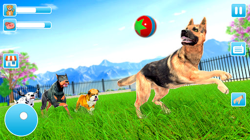 Animal Shelter Dog Rescue Game Screen 2