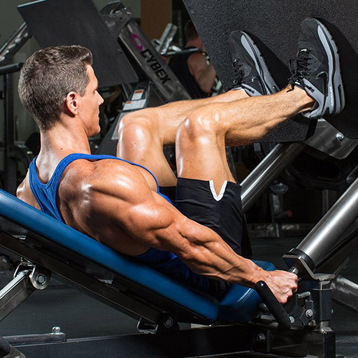 Leg Workout : Gym Exercises logo