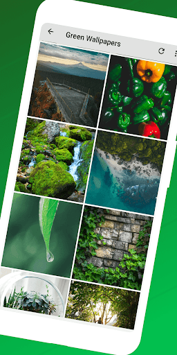 Green Backgrounds