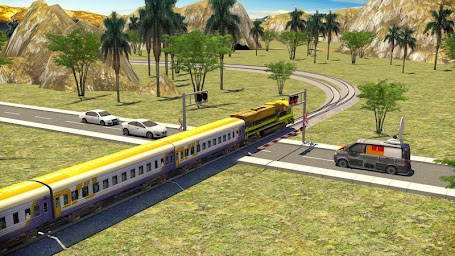 Indonesian Train Driver