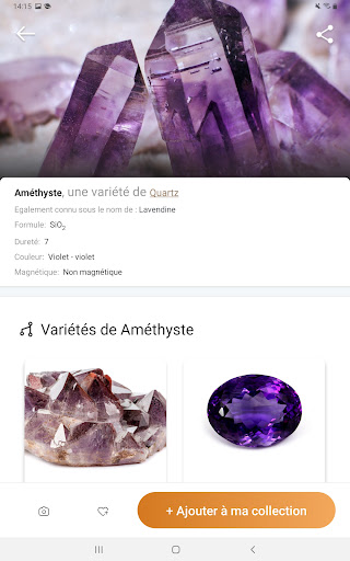 Rock Identifier: Roche, Pierre screenshot 8