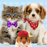 Cover Image of Download Talking cat. Talking puppy. 1.3.0.62 APK