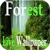 Forest Live WallPaper icon