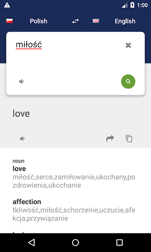 Polish English Dictionary Screen 3
