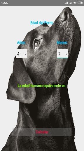Android application Perros screenshort