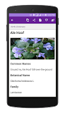 Herbs Dictionary