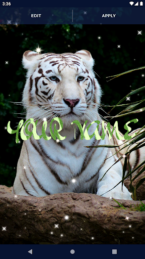 Tiger Live Wallpapers Screen 2