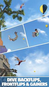 Flip Diving Mod APK 2