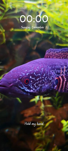 Aesthetic Channa Wallpaper 4K