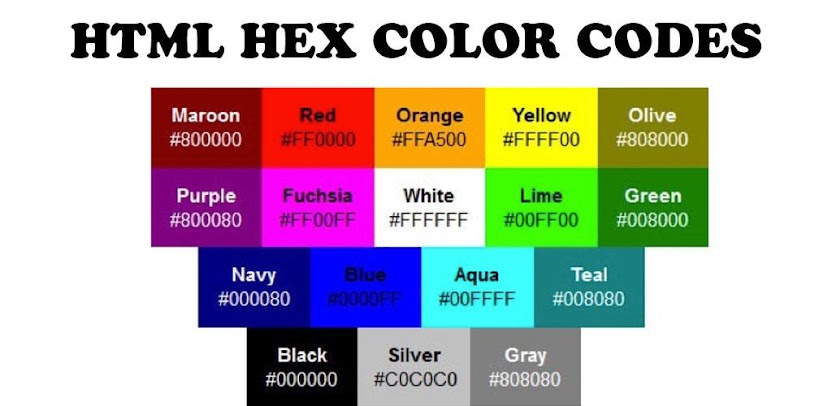 Color hex code. Цвета html. Hex цвета. Цвета в web. Цвета CSS.