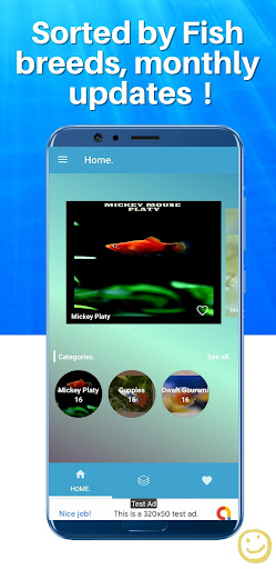 Aquarium Fish WallPaper Screen 2