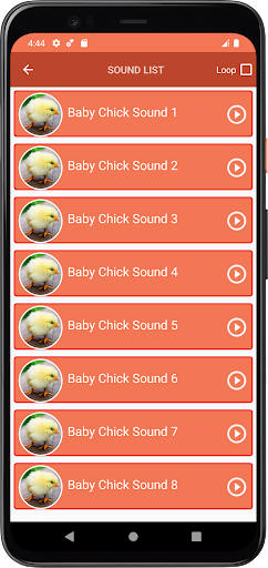 Baby Chick Sounds Screen 3