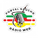 Rádio Web Portal Gaúcho