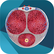 iURO Andrology Pro  Icon