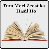 Novel - Tum Meri Zeest Ka Hasil Ho. icon