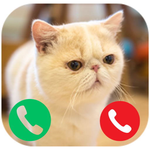 Cat Fake Call