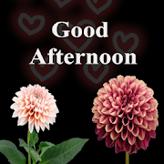 Good Afternoon Images Stickers GIF Wishes