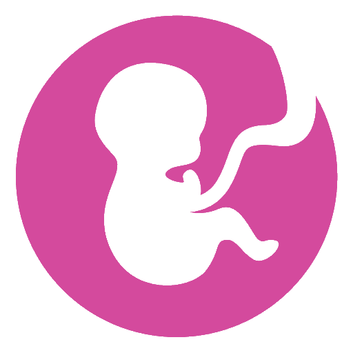 Get Pregnancy calculator for Android Aso Report